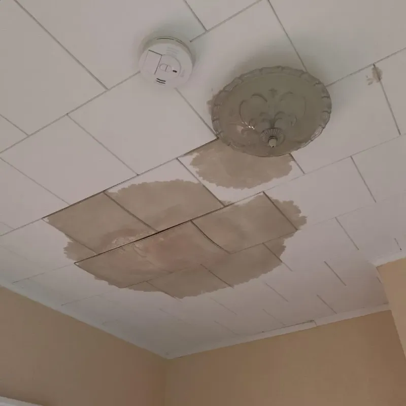 Ceiling Water Damage Repair in Novi, MI