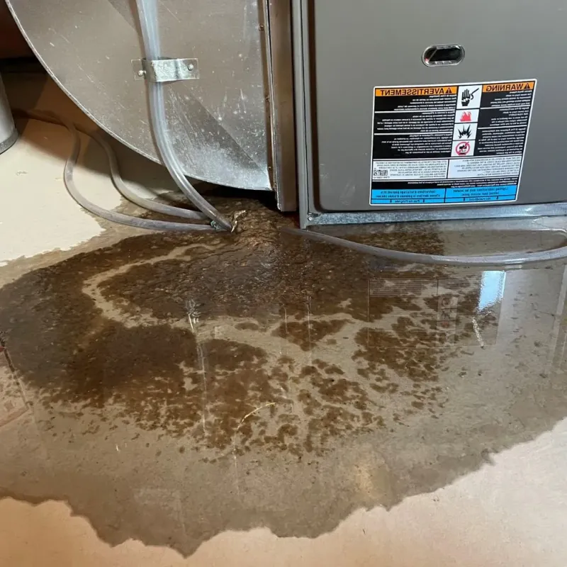 Pipe Burst and Leak Restoration in Novi, MI